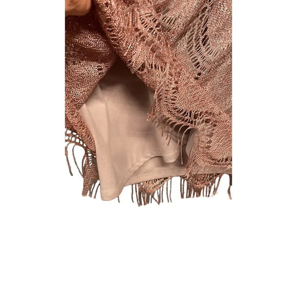 S.L. Fashions Pink Sparkly Fringe Taylor Swift Eras Tour Dress - Picture 5 of 8